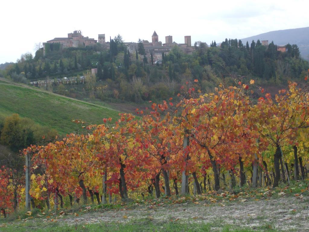 Agriturismo Il Torrione Certaldo Εξωτερικό φωτογραφία