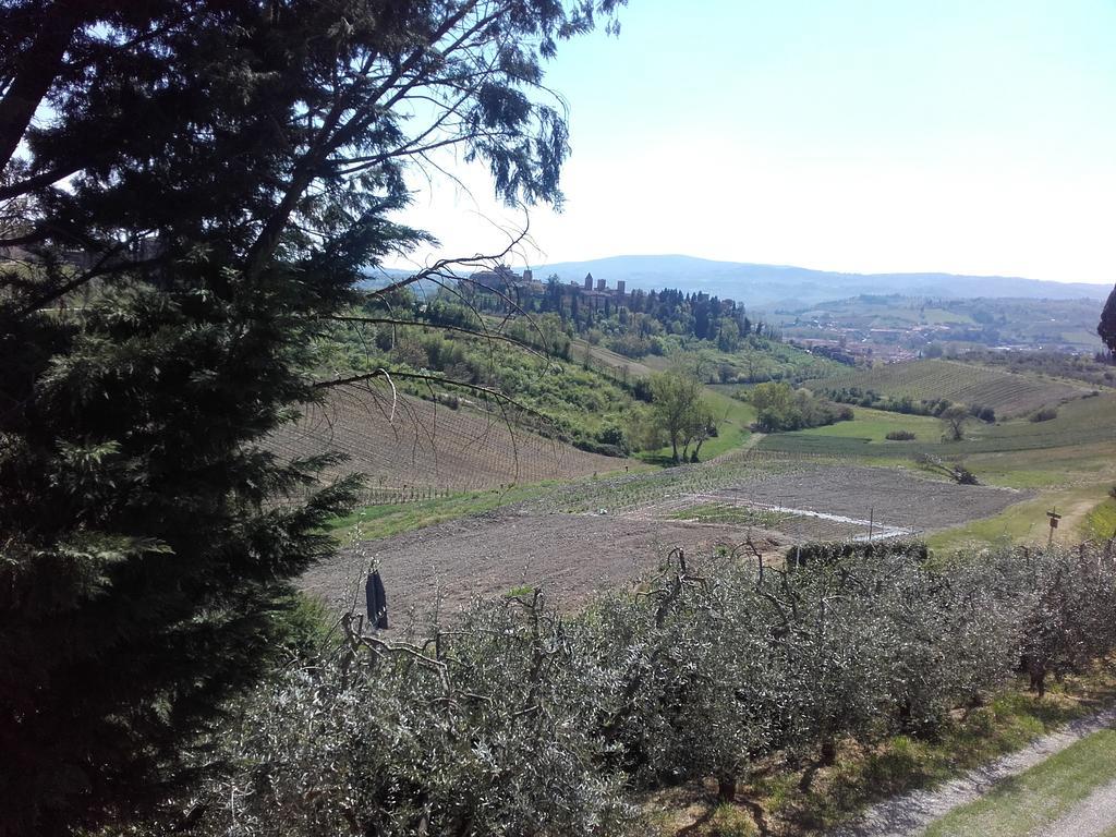 Agriturismo Il Torrione Βίλα Certaldo Εξωτερικό φωτογραφία