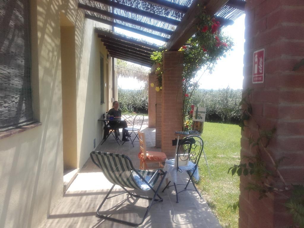 Agriturismo Il Torrione Certaldo Εξωτερικό φωτογραφία