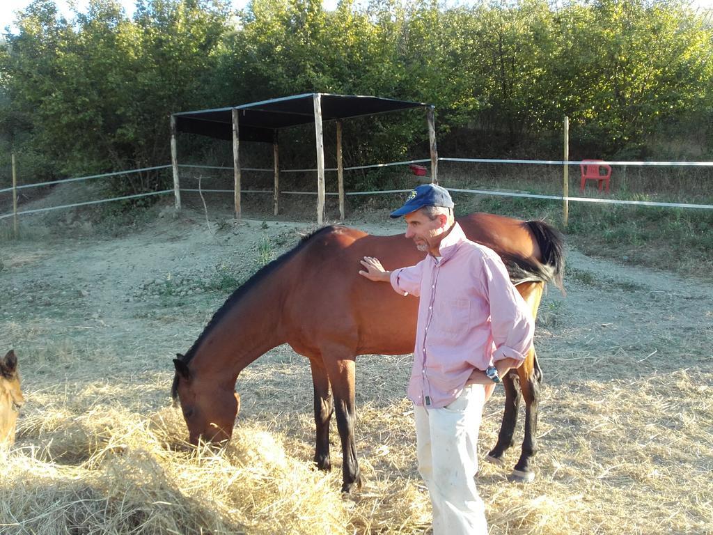 Agriturismo Il Torrione Certaldo Εξωτερικό φωτογραφία