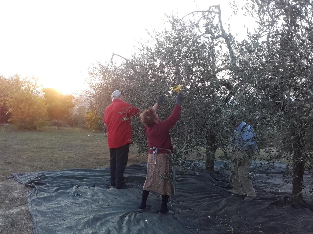 Agriturismo Il Torrione Βίλα Certaldo Εξωτερικό φωτογραφία