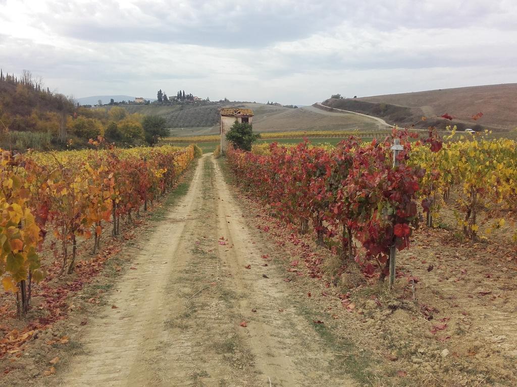 Agriturismo Il Torrione Certaldo Εξωτερικό φωτογραφία