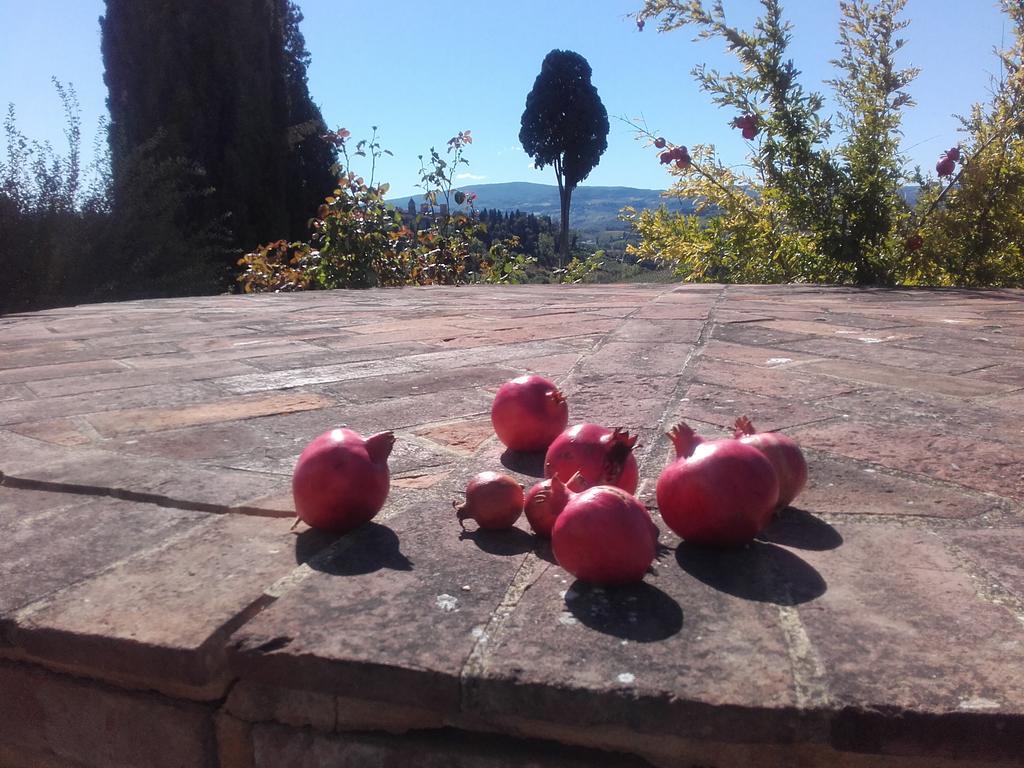 Agriturismo Il Torrione Certaldo Εξωτερικό φωτογραφία
