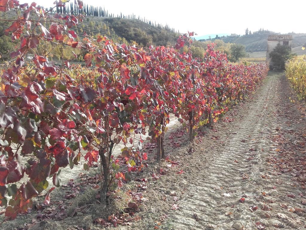 Agriturismo Il Torrione Certaldo Εξωτερικό φωτογραφία