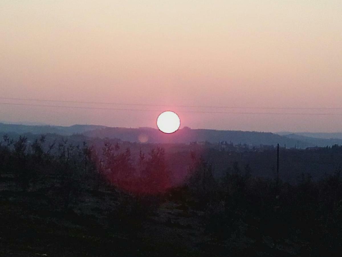 Agriturismo Il Torrione Βίλα Certaldo Εξωτερικό φωτογραφία